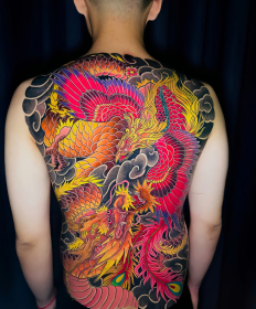 Mẫu Full Back 2